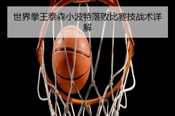 世界拳王泰森小波特落败比赛技战术详解